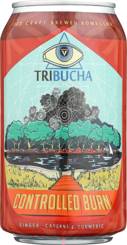 TRIBUCHA KOMBUCHA: Controlled Burn Ready to Drink Kombucha, 12 oz